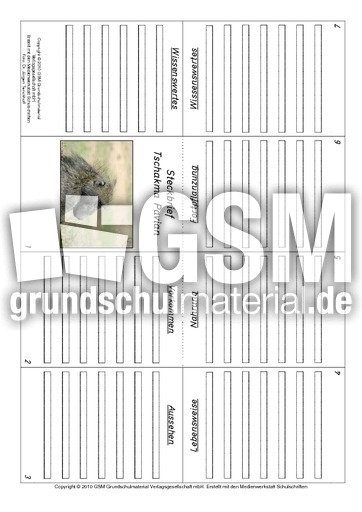 Faltbuch-Tschakma Pavian.pdf